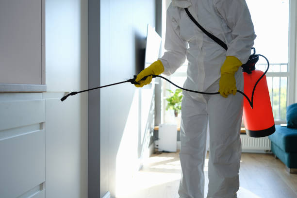 Mold Testing and Removal in Geneva, FL